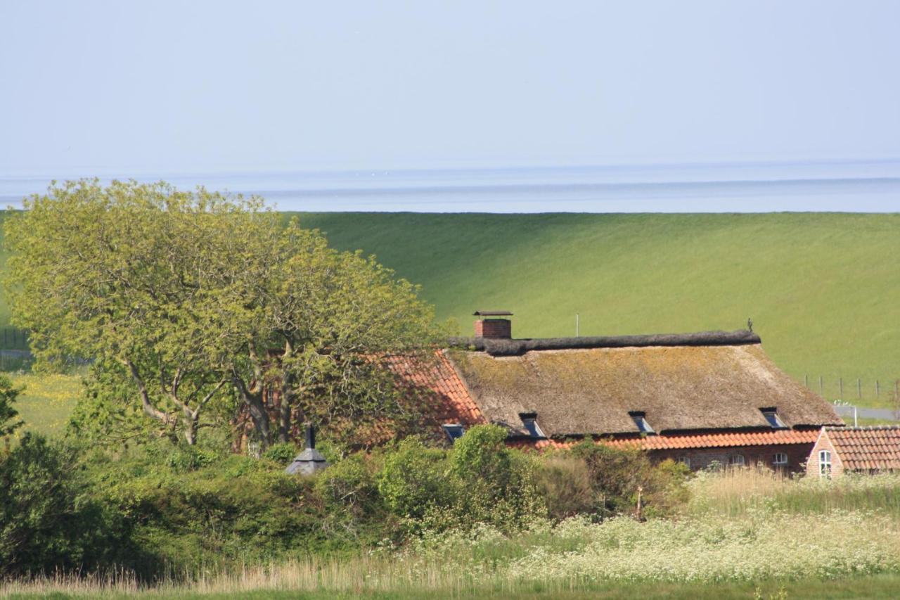 Gasthof Grosser Krug Norddeich  Exteriör bild