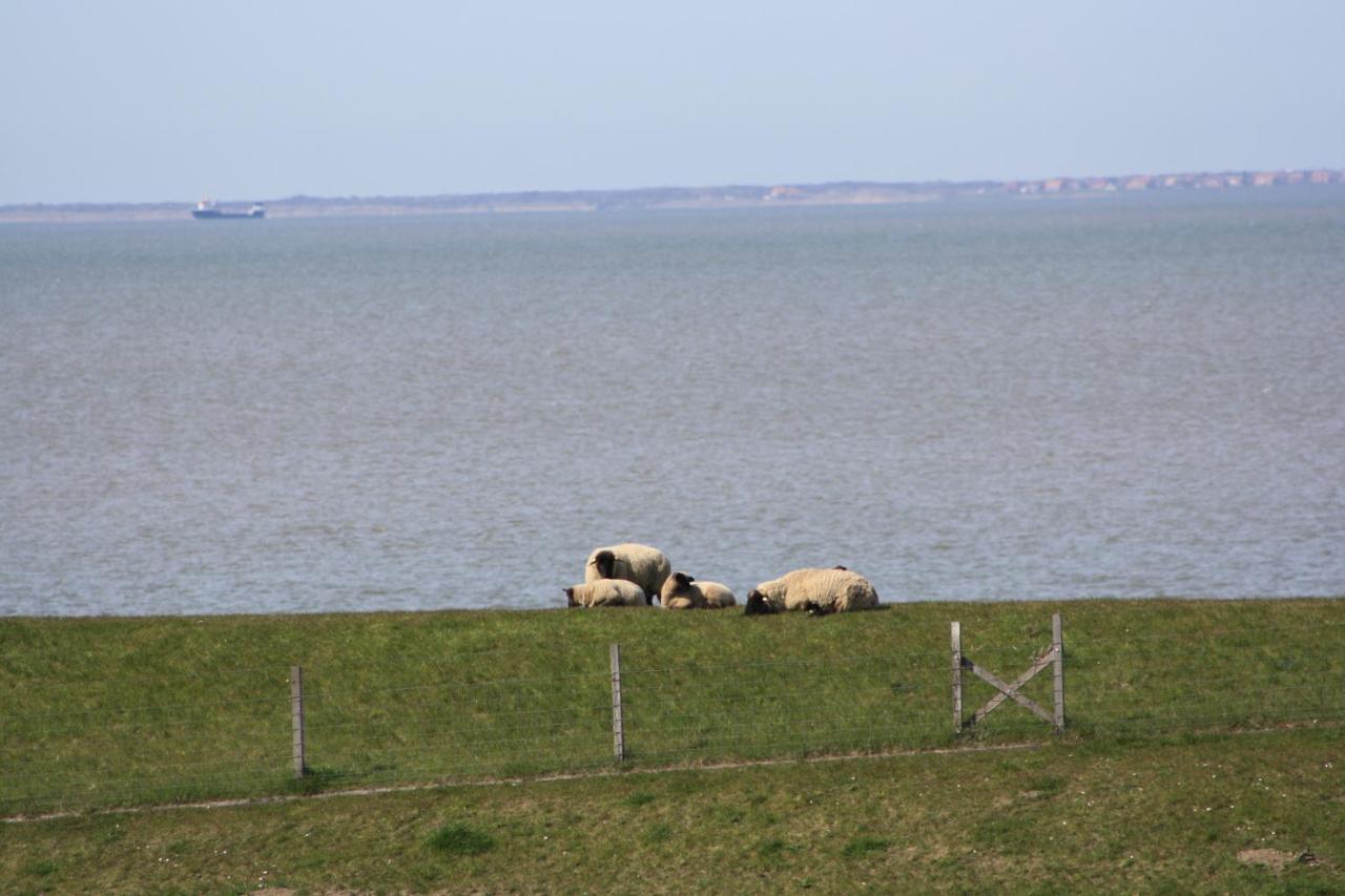 Gasthof Grosser Krug Norddeich  Exteriör bild